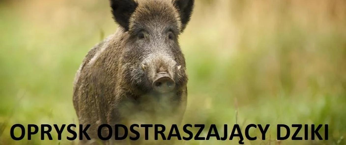 Uwaga! Oprysk odstraszający dziki!
